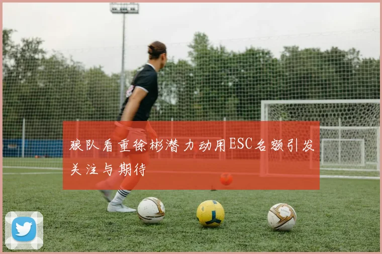 狼队看重徐彬潜力动用ESC名额引发关注与期待